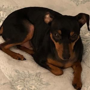 Meet your Posher, Sandra